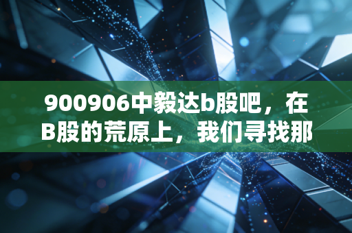 900906中毅达b股吧,在B股的荒原上,我们寻找那一点点倔强的希望