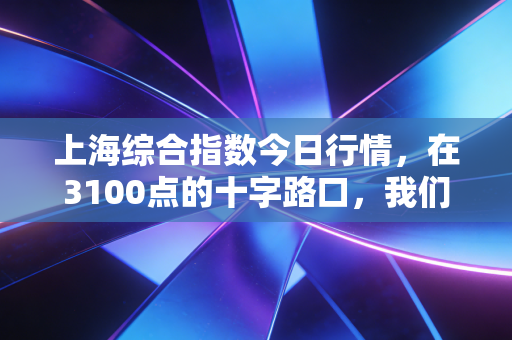 上海综合指数今日行情,在3100点的十字路口,我们需要一点钝感力