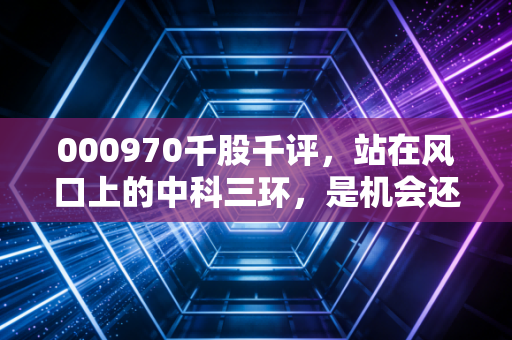 000970千股千评，站在风口上的中科三环，是机会还是陷阱？深度剖析稀土永磁的下半场
