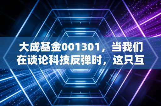 大成基金001301,当我们在谈论科技反弹时,这只互联网+老兵还能打吗?