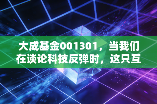 大成基金001301,当我们在谈论科技反弹时,这只互联网+老兵还能打吗?