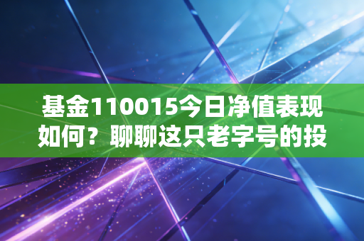 基金110015今日净值表现如何?聊聊这只老字号的投资心路历程