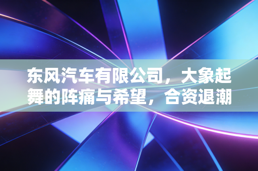 东风汽车有限公司,大象起舞的阵痛与希望,合资退潮下它能否打赢这场翻身仗?