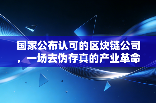 国家公布认可的区块链公司，一场去伪存真的产业革命与投资新逻辑