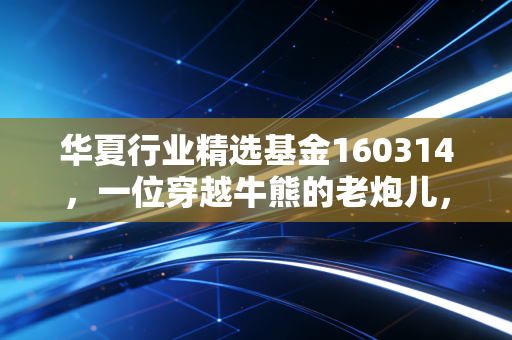 华夏行业精选基金160314，一位穿越牛熊的老炮儿，还能否在当下市场为你杀出重围？