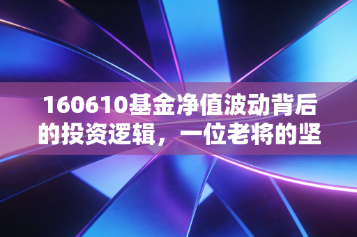 160610基金净值波动背后的投资逻辑,一位老将的坚守与突围