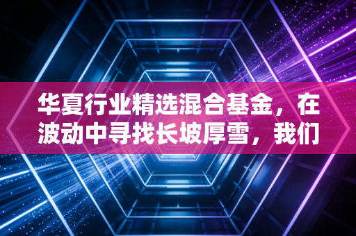 华夏行业精选混合基金，在波动中寻找长坡厚雪，我们该如何布局？