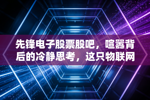 先锋电子股票股吧，喧嚣背后的冷静思考，这只物联网老将还能打吗？