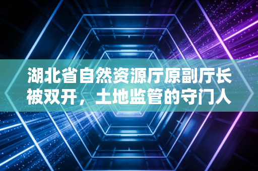 湖北省自然资源厅原副厅长被双开，土地监管的守门人为何沦为内鬼？