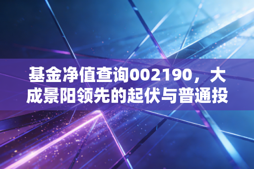 基金净值查询002190，大成景阳领先的起伏与普通投资者的持有之道