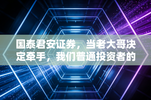 国泰君安证券，当老大哥决定牵手，我们普通投资者的机会在哪里？