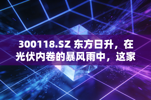 300118.SZ 东方日升，在光伏内卷的暴风雨中，这家老将还能撑起多大的想象空间？