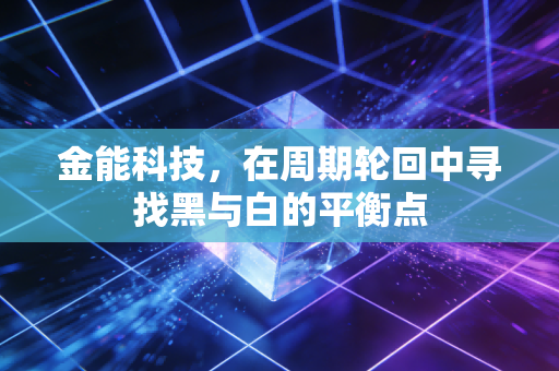 金能科技，在周期轮回中寻找黑与白的平衡点
