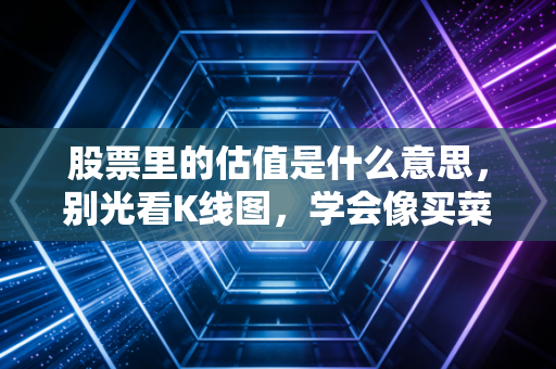 股票里的估值是什么意思,别光看K线图,学会像买菜一样去给公司称重