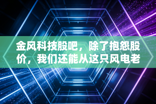金风科技股吧，除了抱怨股价，我们还能从这只风电老大哥身上看到什么？