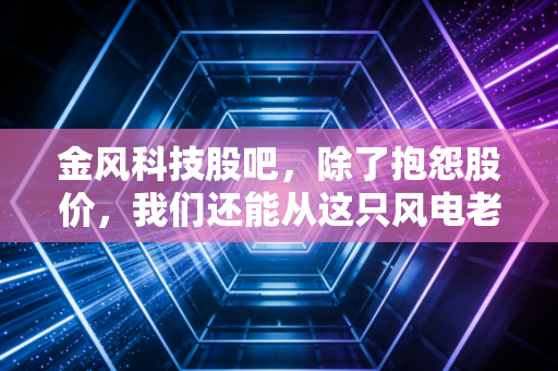 金风科技股吧，除了抱怨股价，我们还能从这只风电老大哥身上看到什么？