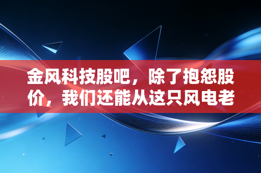 金风科技股吧，除了抱怨股价，我们还能从这只风电老大哥身上看到什么？