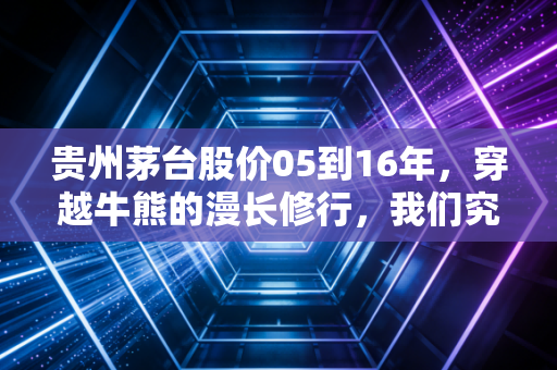 贵州茅台股价05到16年,穿越牛熊的漫长修行,我们究竟错过了什么?