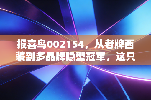 报喜鸟002154,从老牌西装到多品牌隐型冠军,这只被低估的男装股到底藏着什么秘密?