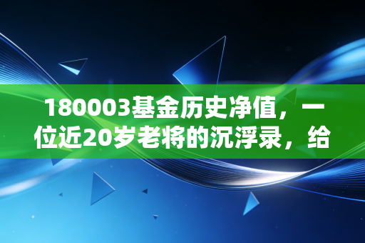 180003基金历史净值,一位近20岁老将的沉浮录,给普通投资者的几点真心话