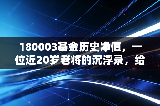 180003基金历史净值，一位近20岁老将的沉浮录，给普通投资者的几点真心话
