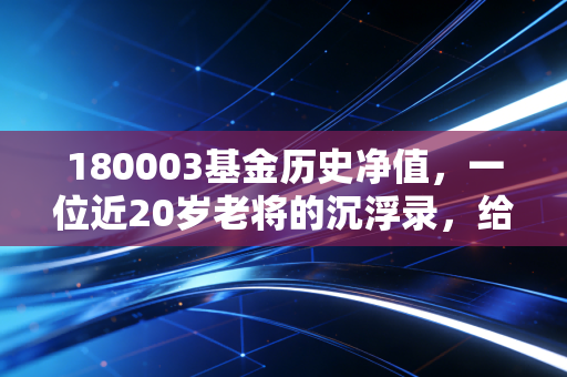 180003基金历史净值,一位近20岁老将的沉浮录,给普通投资者的几点真心话