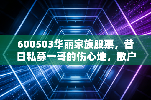 600503华丽家族股票,昔日私募一哥的伤心地,散户还能否在这个资本局中全身而退?