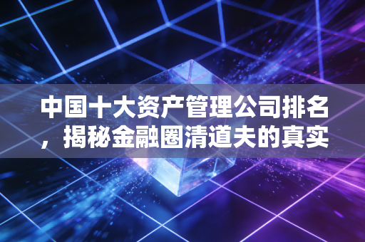 中国十大资产管理公司排名，揭秘金融圈清道夫的真实实力与江湖地位