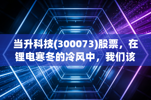 当升科技(300073)股票，在锂电寒冬的冷风中，我们该如何重新审视这位优等生？