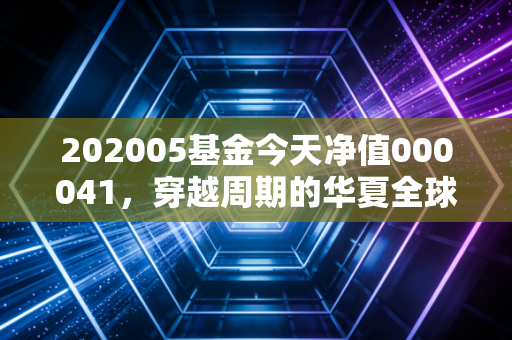 202005基金今天净值000041，穿越周期的华夏全球精选与我们的投资焦虑