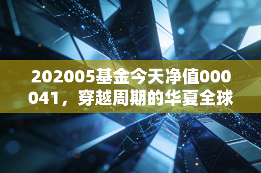 202005基金今天净值000041，穿越周期的华夏全球精选与我们的投资焦虑