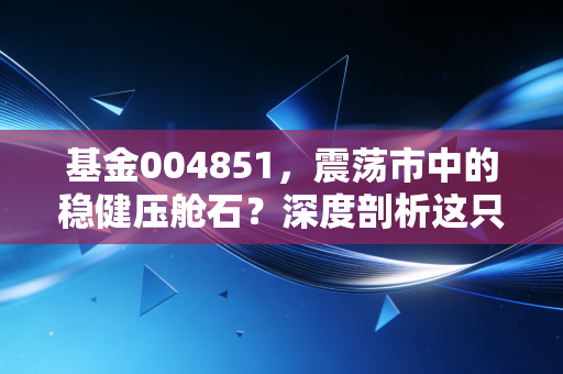 基金004851，震荡市中的稳健压舱石？深度剖析这只混合型基金的攻守之道