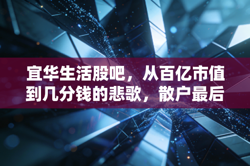 宜华生活股吧，从百亿市值到几分钱的悲歌，散户最后的坚守与绝望