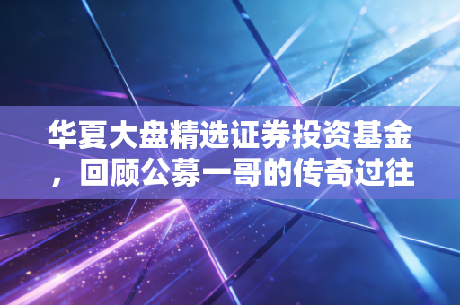 华夏大盘精选证券投资基金，回顾公募一哥的传奇过往，聊聊咱们该如何面对明星基金的光环效应