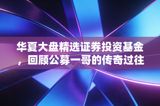 华夏大盘精选证券投资基金，回顾公募一哥的传奇过往，聊聊咱们该如何面对明星基金的光环效应