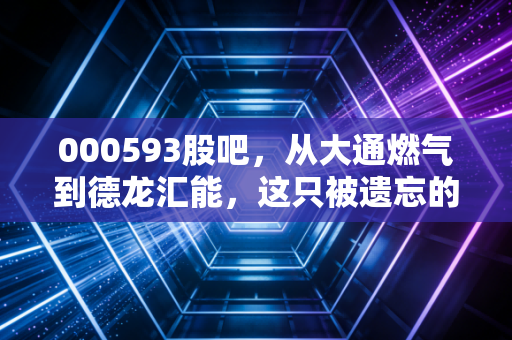 000593股吧，从大通燃气到德龙汇能，这只被遗忘的燃气茅还能翻身吗？