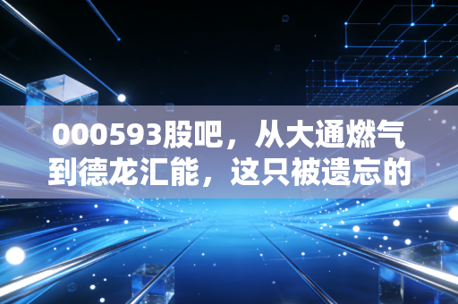 000593股吧，从大通燃气到德龙汇能，这只被遗忘的燃气茅还能翻身吗？