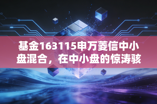 基金163115申万菱信中小盘混合,在中小盘的惊涛骇浪中,我们该如何寻找长坡厚雪?