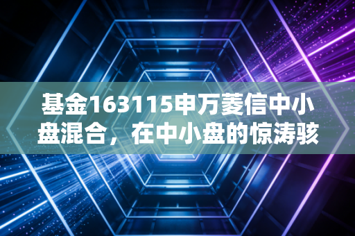 基金163115申万菱信中小盘混合，在中小盘的惊涛骇浪中，我们该如何寻找长坡厚雪？