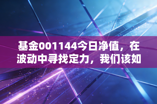 基金001144今日净值，在波动中寻找定力，我们该如何面对这只老牌基金的起伏？