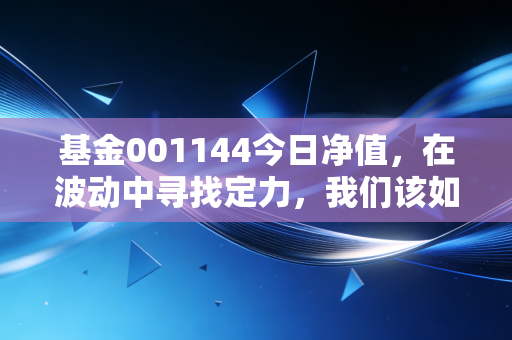 基金001144今日净值，在波动中寻找定力，我们该如何面对这只老牌基金的起伏？