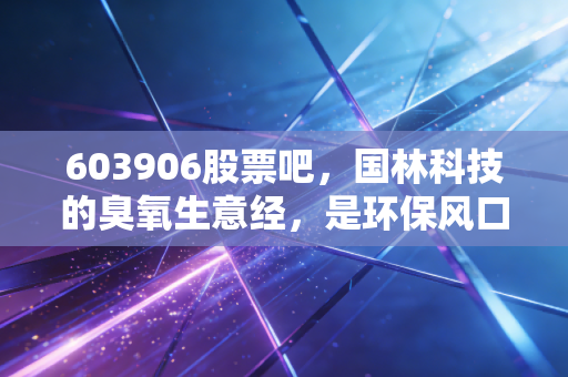 603906股票吧，国林科技的臭氧生意经，是环保风口还是散户的过山车？