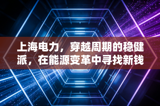 上海电力，穿越周期的稳健派，在能源变革中寻找新钱途