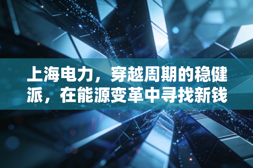 上海电力，穿越周期的稳健派，在能源变革中寻找新钱途