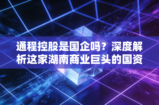 通程控股是国企吗？深度解析这家湖南商业巨头的国资底色与转型之路