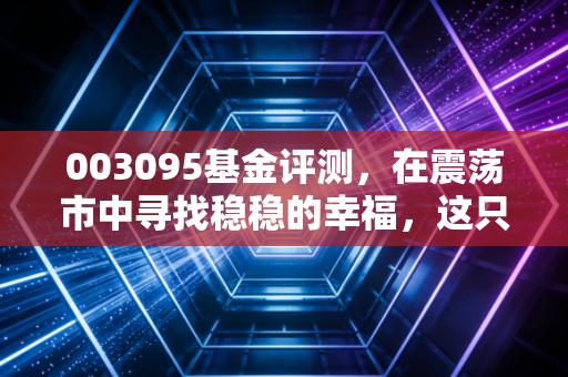003095基金评测，在震荡市中寻找稳稳的幸福，这只增强型债基能打几分？