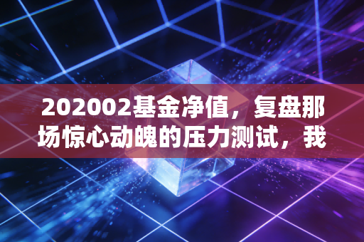 202002基金净值，复盘那场惊心动魄的压力测试，我们究竟赚的是什么钱？