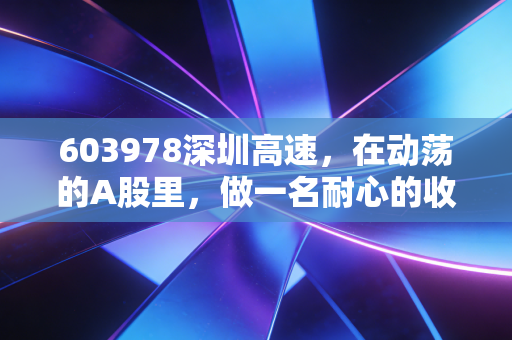 603978深圳高速，在动荡的A股里，做一名耐心的收租人
