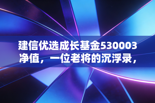 建信优选成长基金530003净值，一位老将的沉浮录，普通投资者的定心丸还是过气网红？