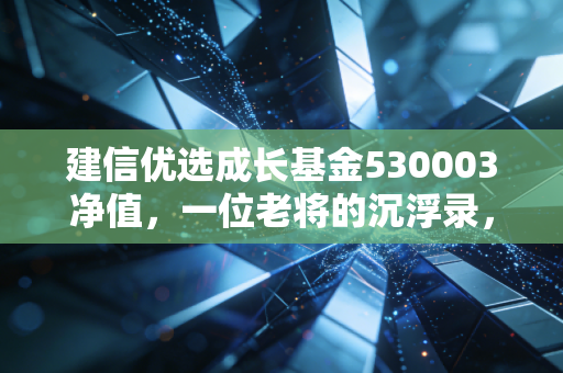建信优选成长基金530003净值，一位老将的沉浮录，普通投资者的定心丸还是过气网红？